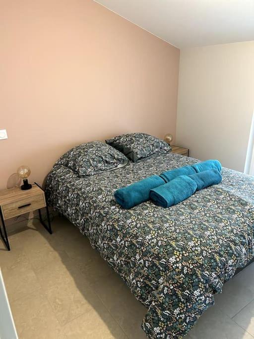 Le Cosy Grenier De Pauline Et Flo Apartment Cessenon-sur-Orb Екстериор снимка