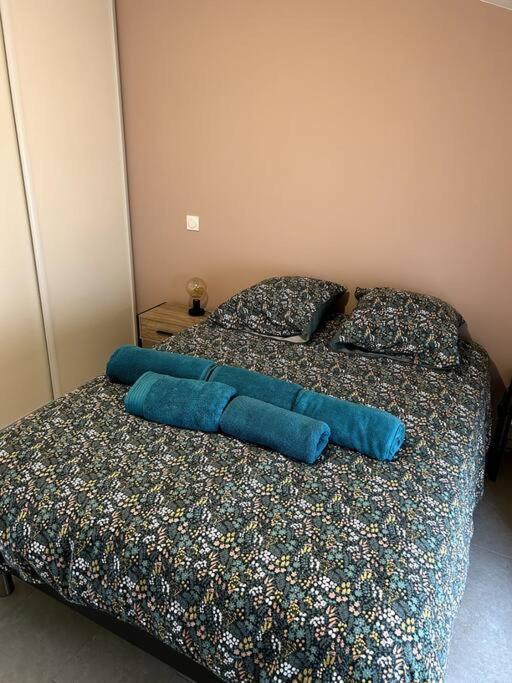 Le Cosy Grenier De Pauline Et Flo Apartment Cessenon-sur-Orb Екстериор снимка